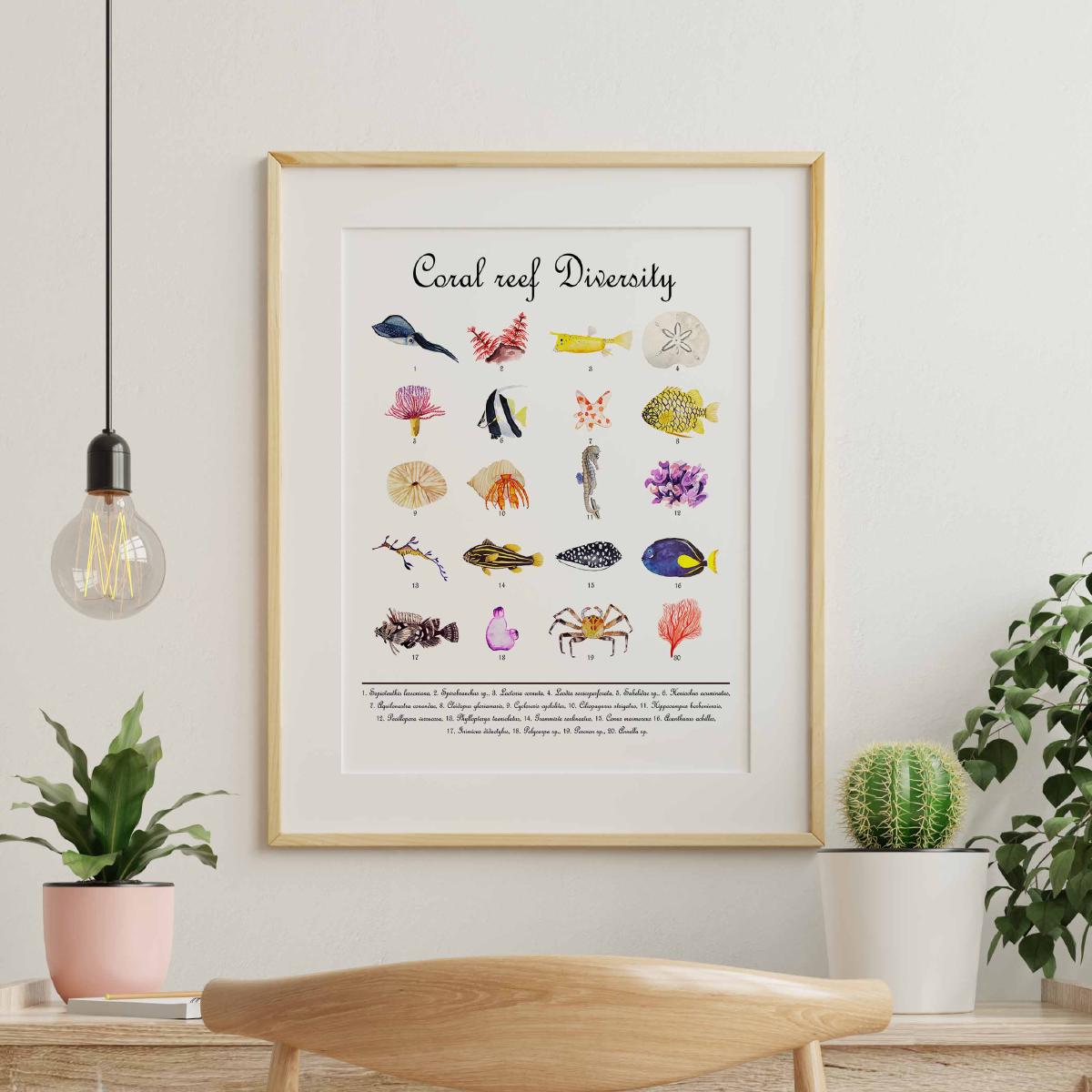 Diversité des récifs coralliens