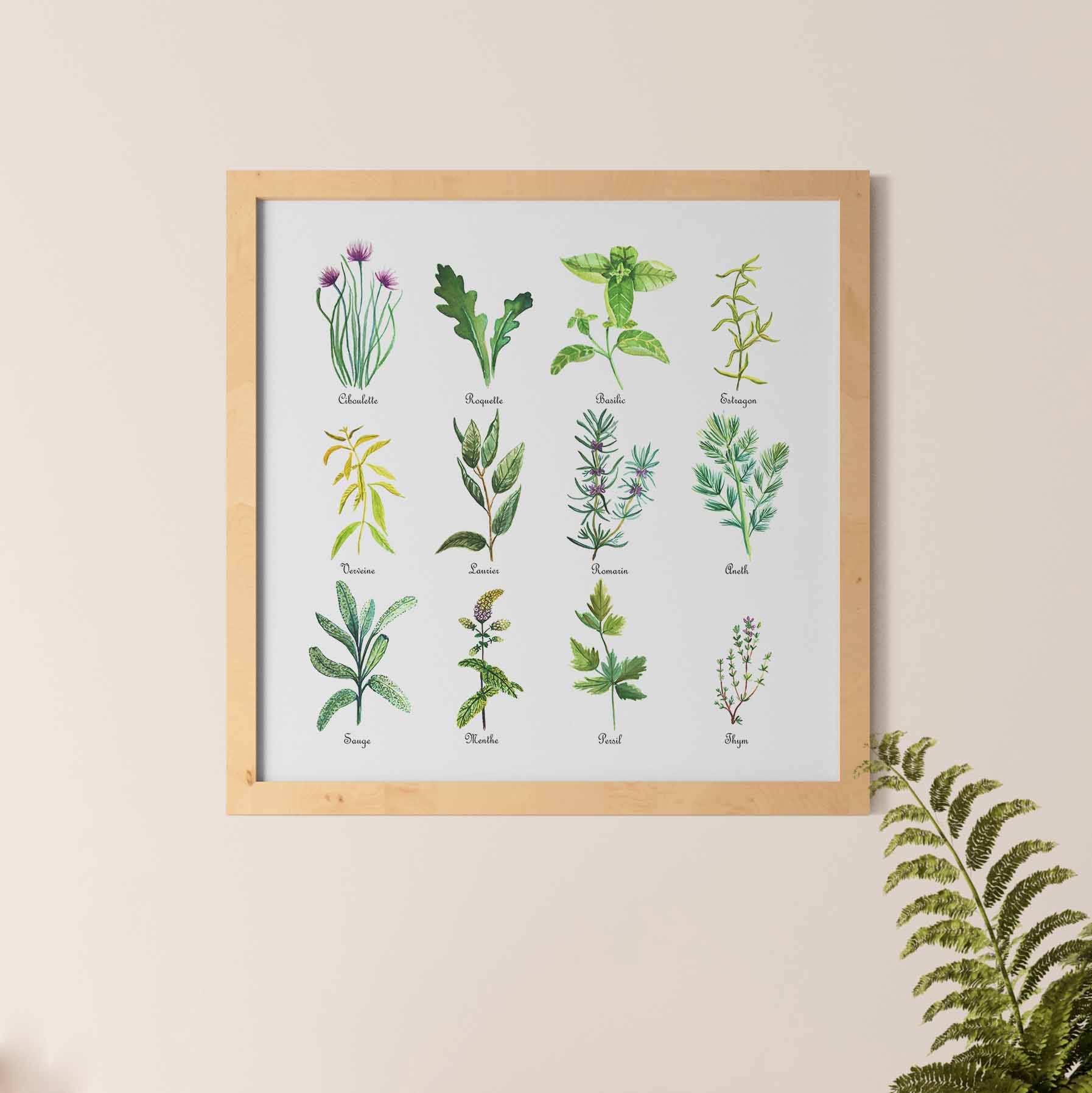 [Poster naturaliste herbes aromatiques à l'aquarelle]