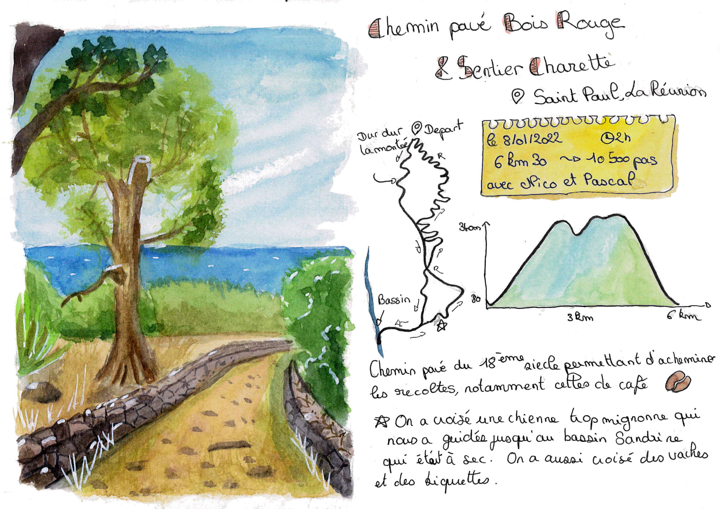 Illustatrion à l'aquerelle du Chemin pavé de Bois Rouge dans l'ouest de l'île de La Réunion