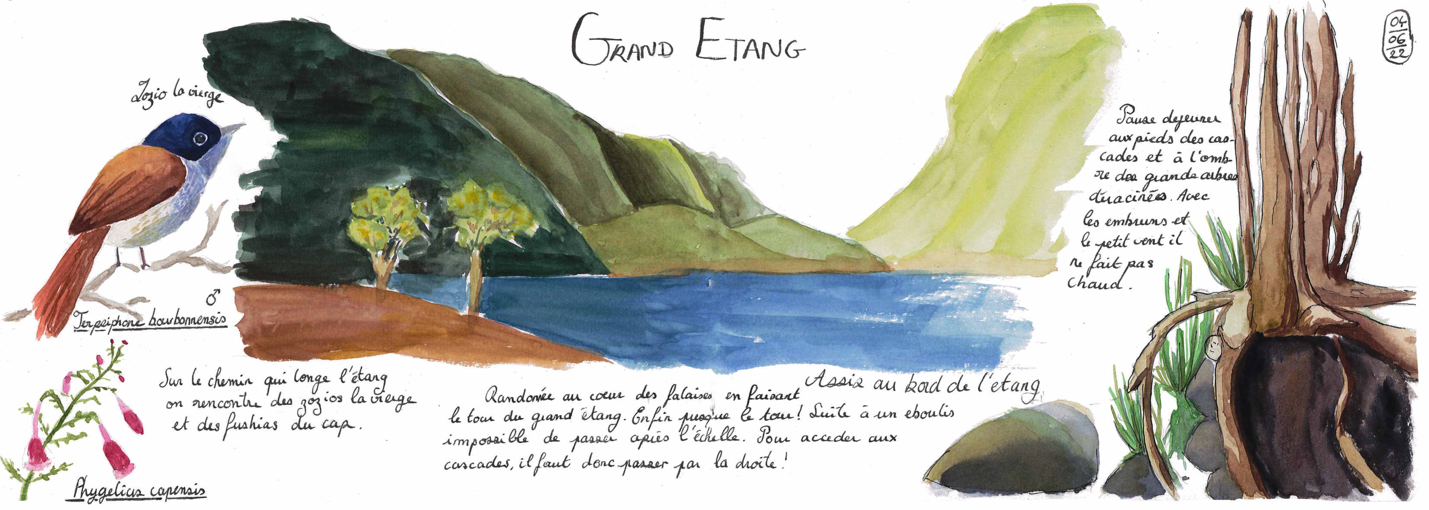 Double page illustrée à l'aquarelle du Grand Etang à l'est de l'île de La Réunion