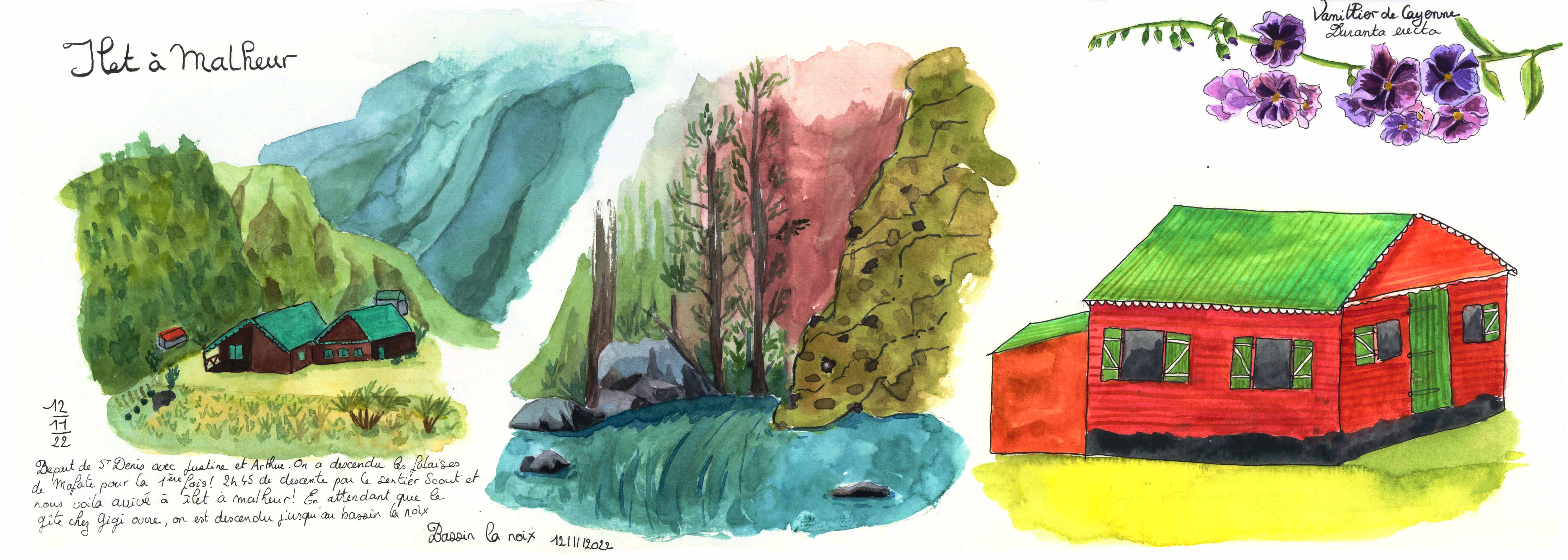  Double page illustrée à l'aquarelle de l'Ilet à Malheur dans le sud de La Réunion