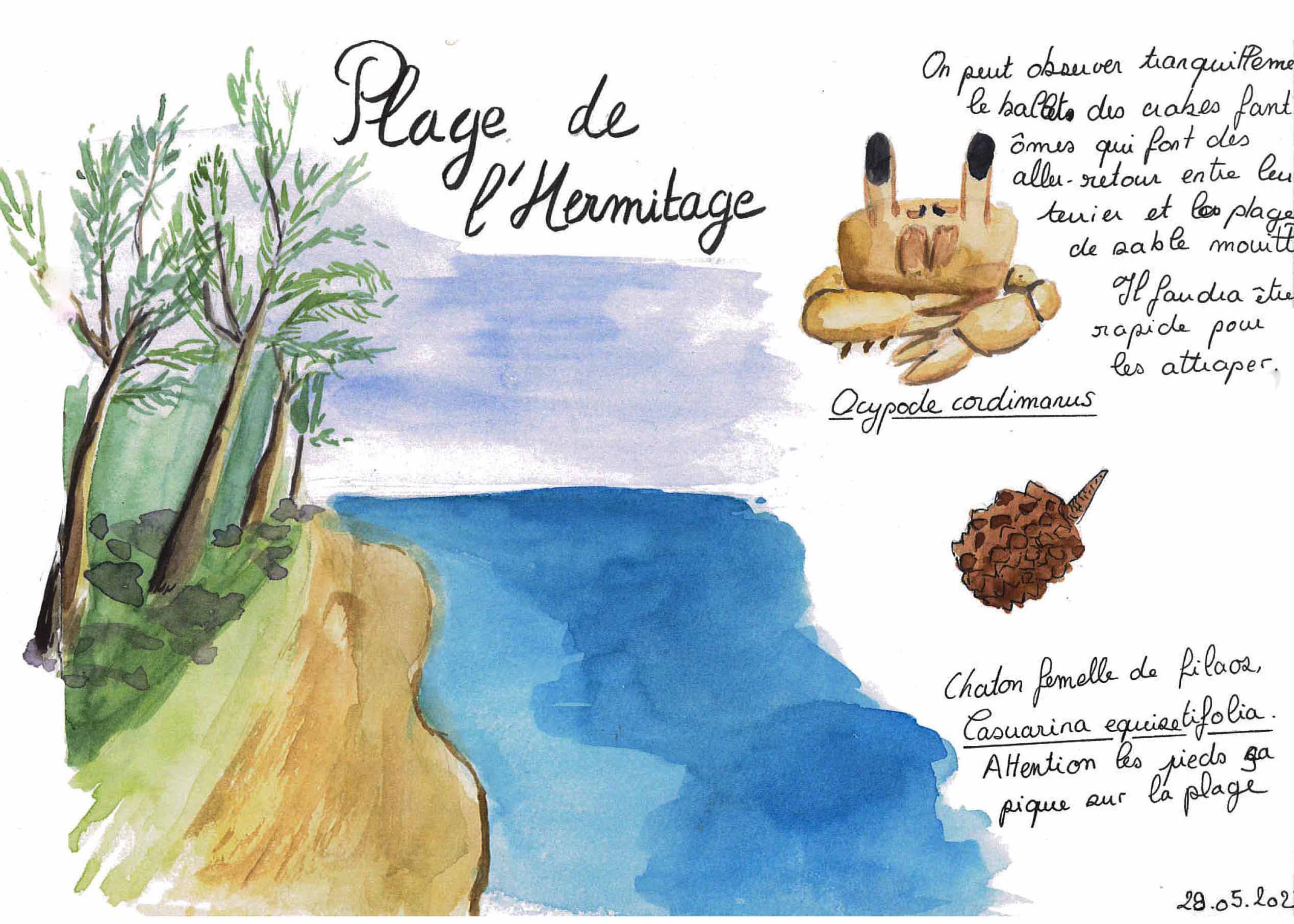 Illustration à l'aquarelle de la plage de l'Hermitage dans l'ouest de l'île de La Réunion