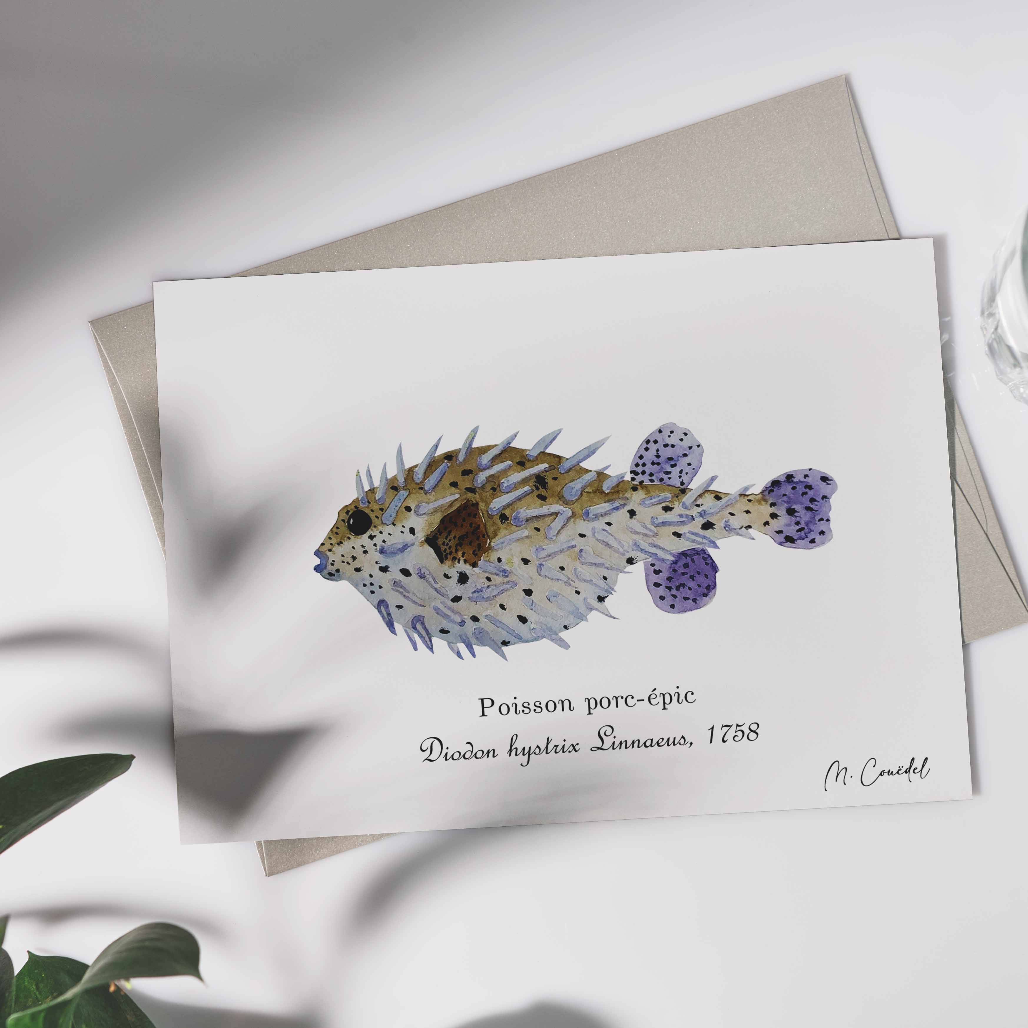 Aquarelle de Poisson porc-épic (Diodon hystrix)