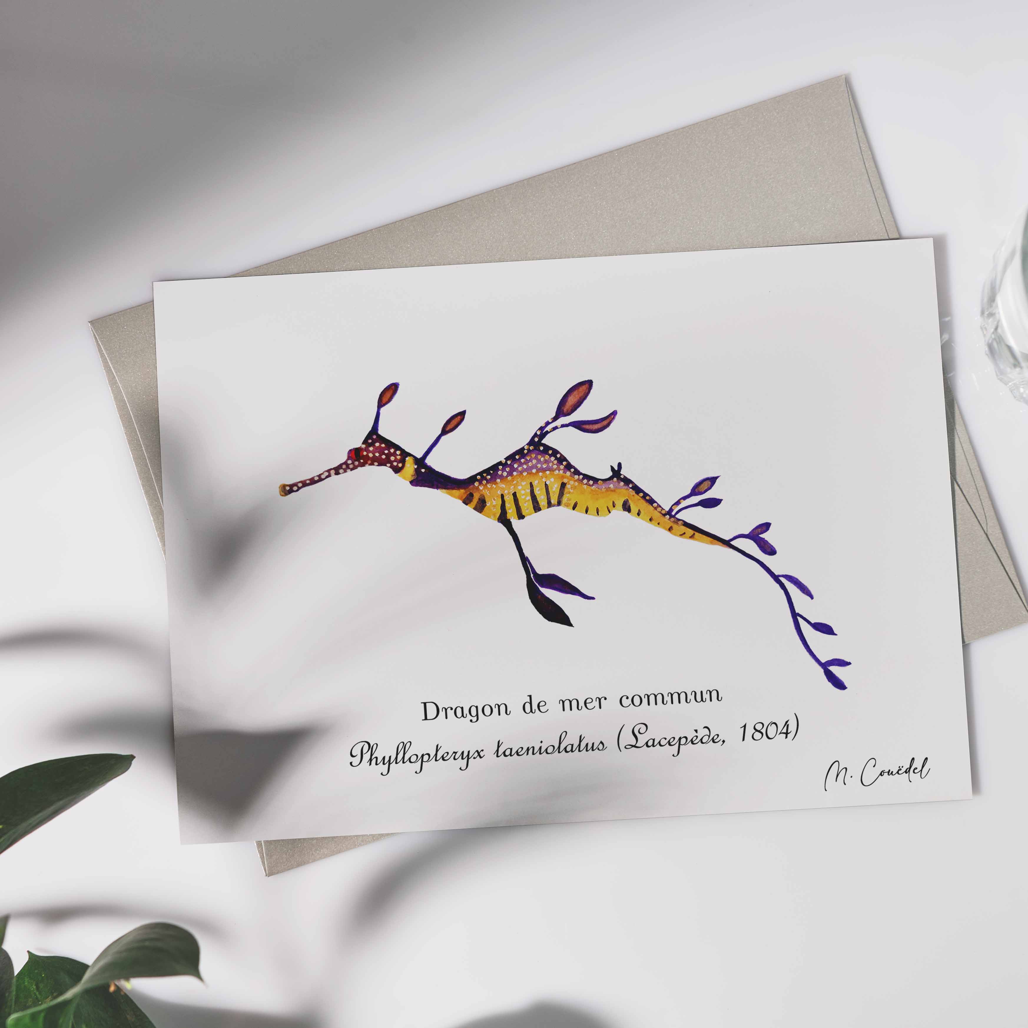 Aquarelle de Dragon des mers feuillu (Phyllopteryx taeniolatus)