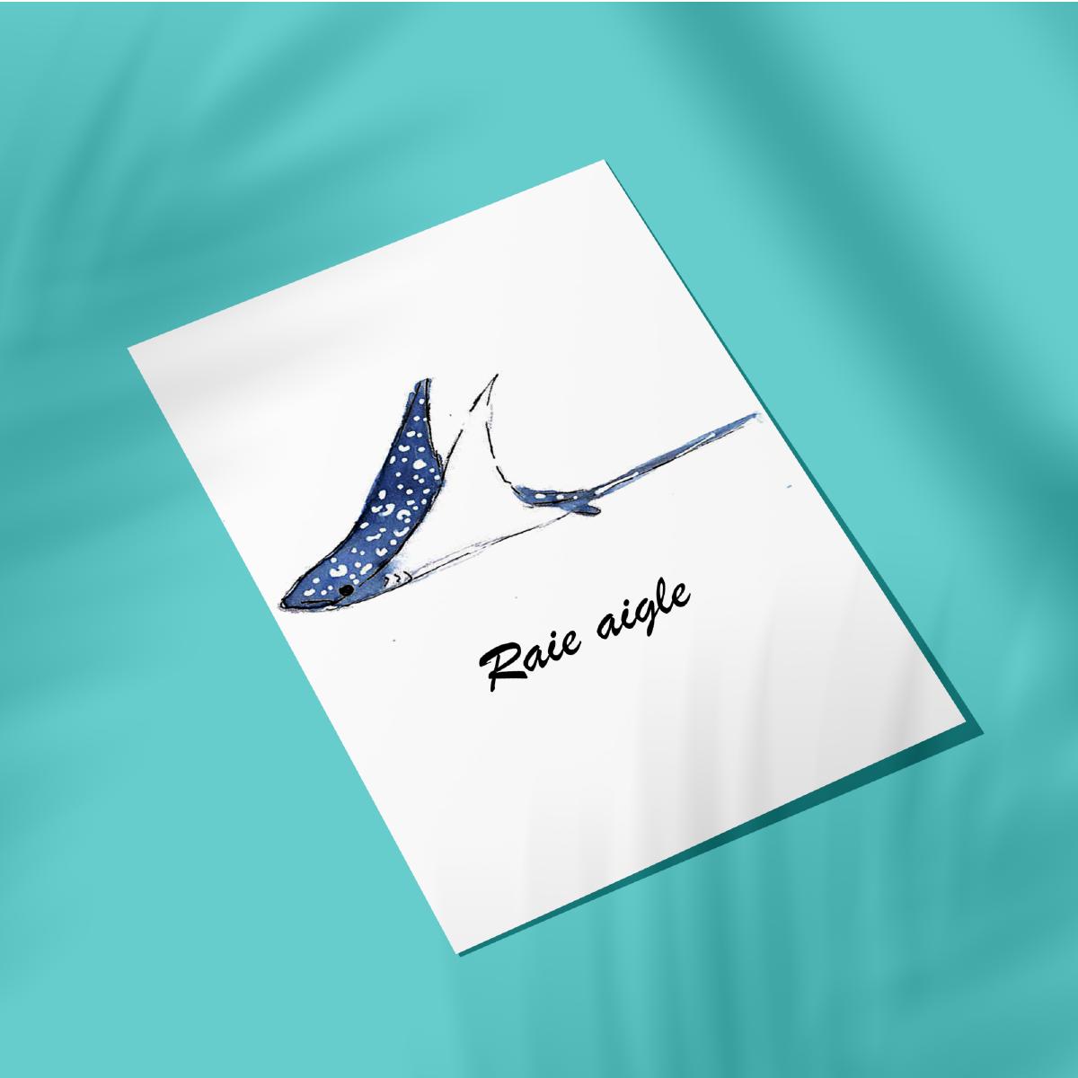 Les illustrations naturalistes