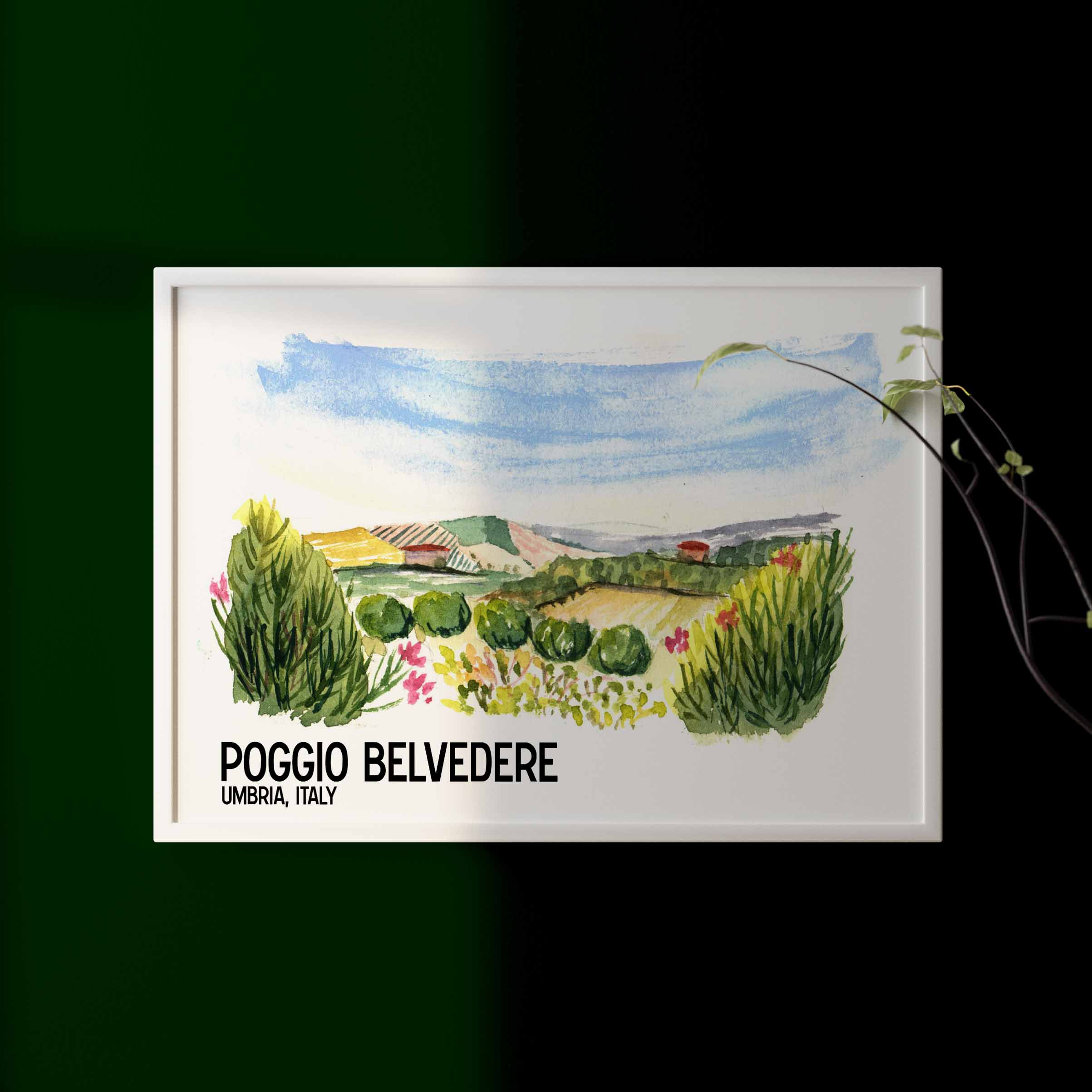 [View from Poggio Belvedere